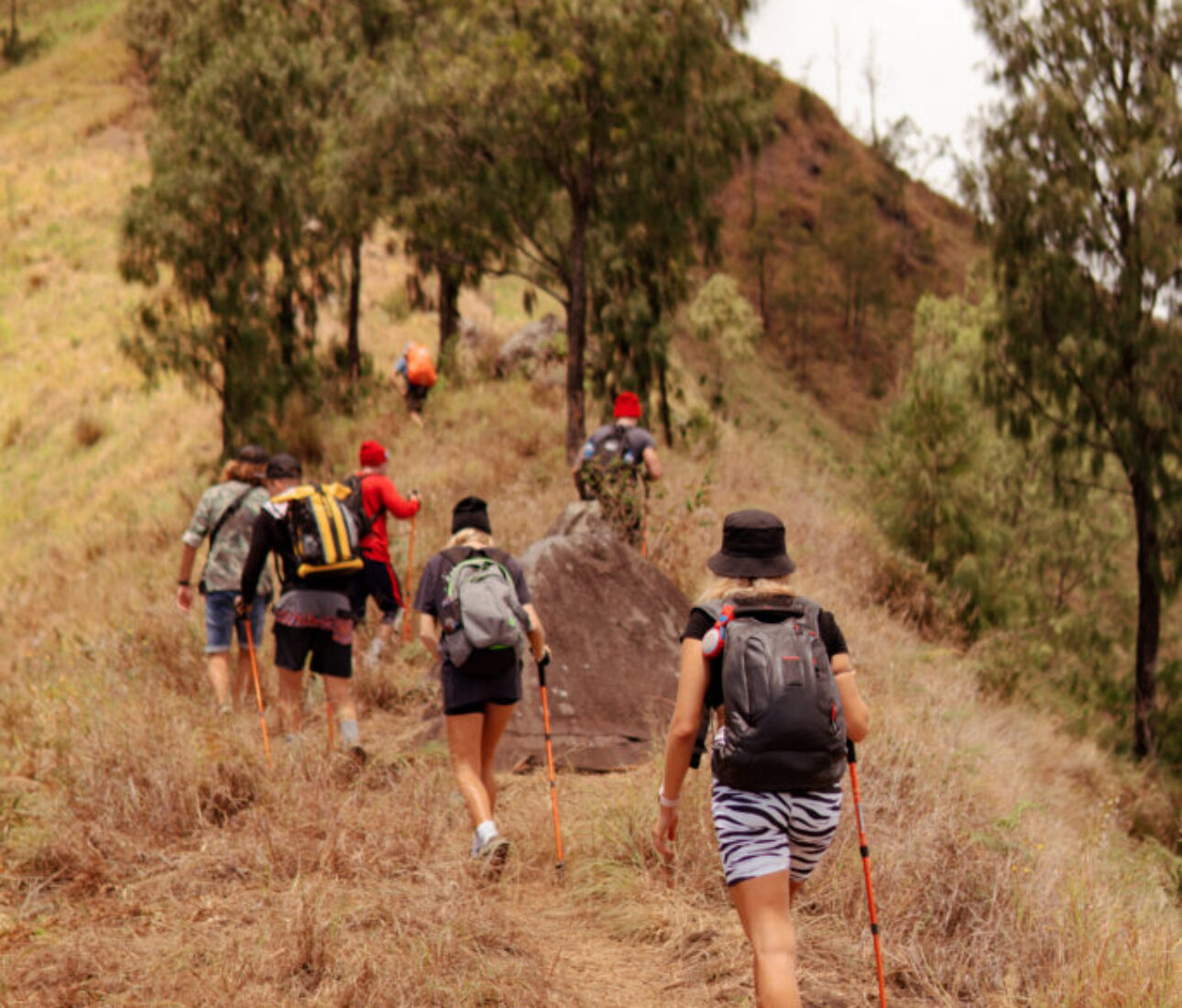a group of people walking on the trek